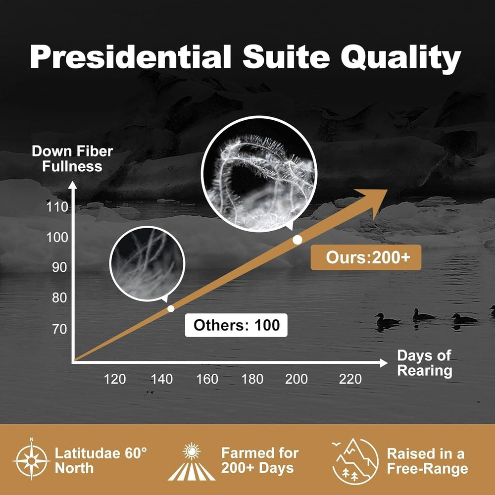 Downaero™ Plapumă cu puf de gâscă pentru paturi King Size, 100% bumbac satinat egiptean, 900 putere de umplere, căldură medie, pentru toate anotimpurile, alb Plapumi si pilote Naty Shop