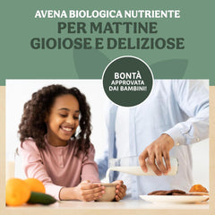 Light organic cornflakes 500g per pack