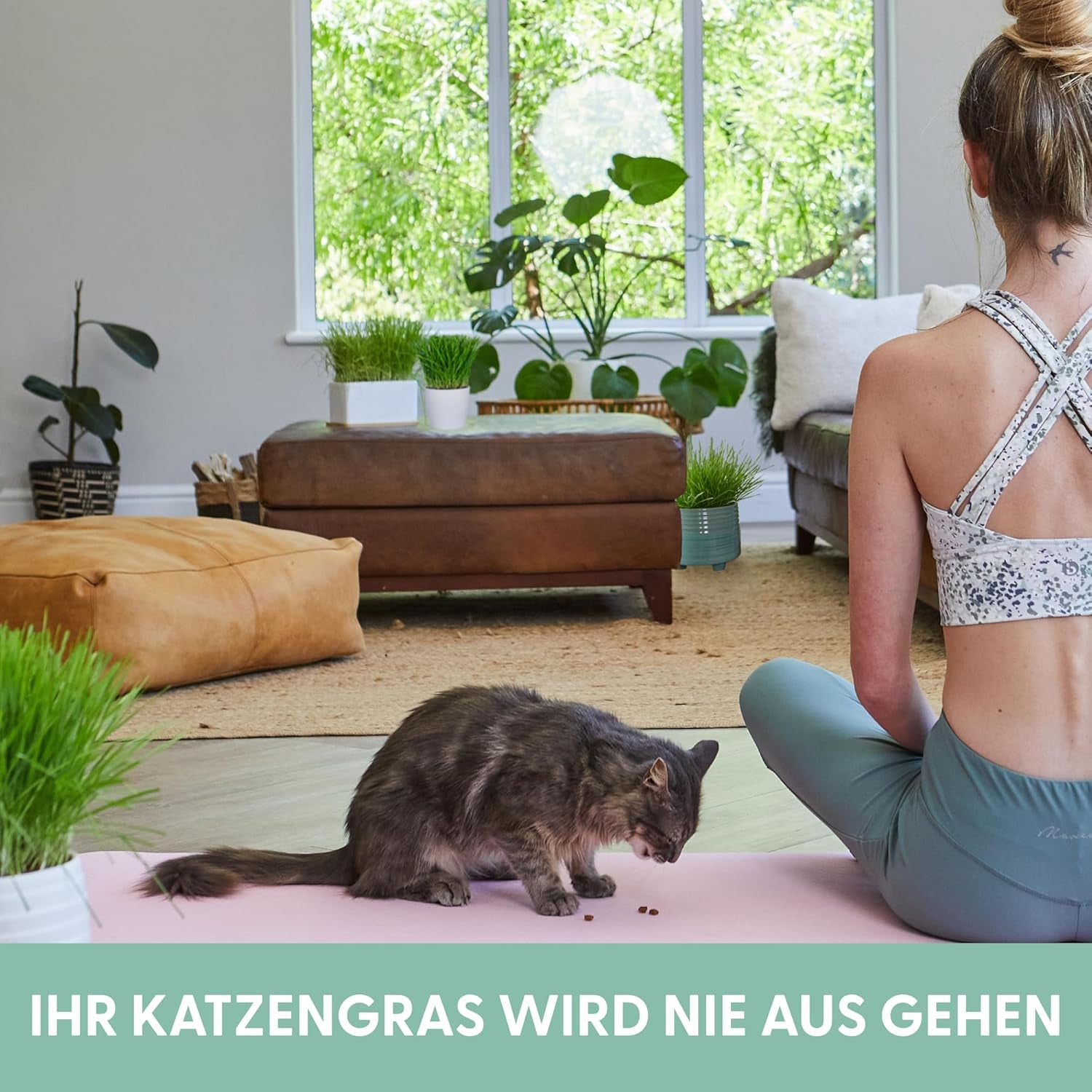 The Cat Ladies 3Er Set Katzengras Samen - Gras Anzuchtset Für Katzen - Gras Zum Fressen Für Die Katze - 3X Katzengrassamen Set - Katzengras Für Balkon Und Wohnung
