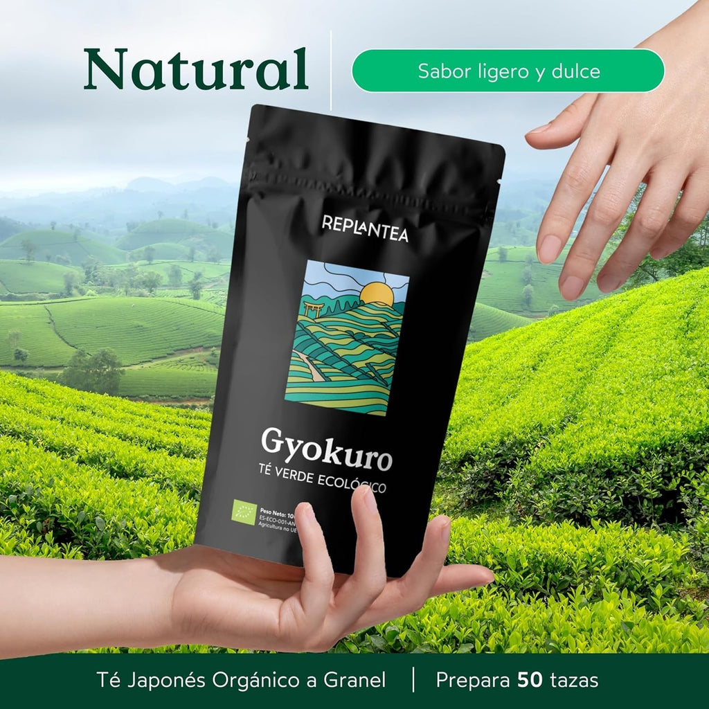 Ceai verde japonez Gyokuro organic (100 g) | Ceai premium la vrac | Gust umami rafinat și dulceață delicată | REPLANTEA