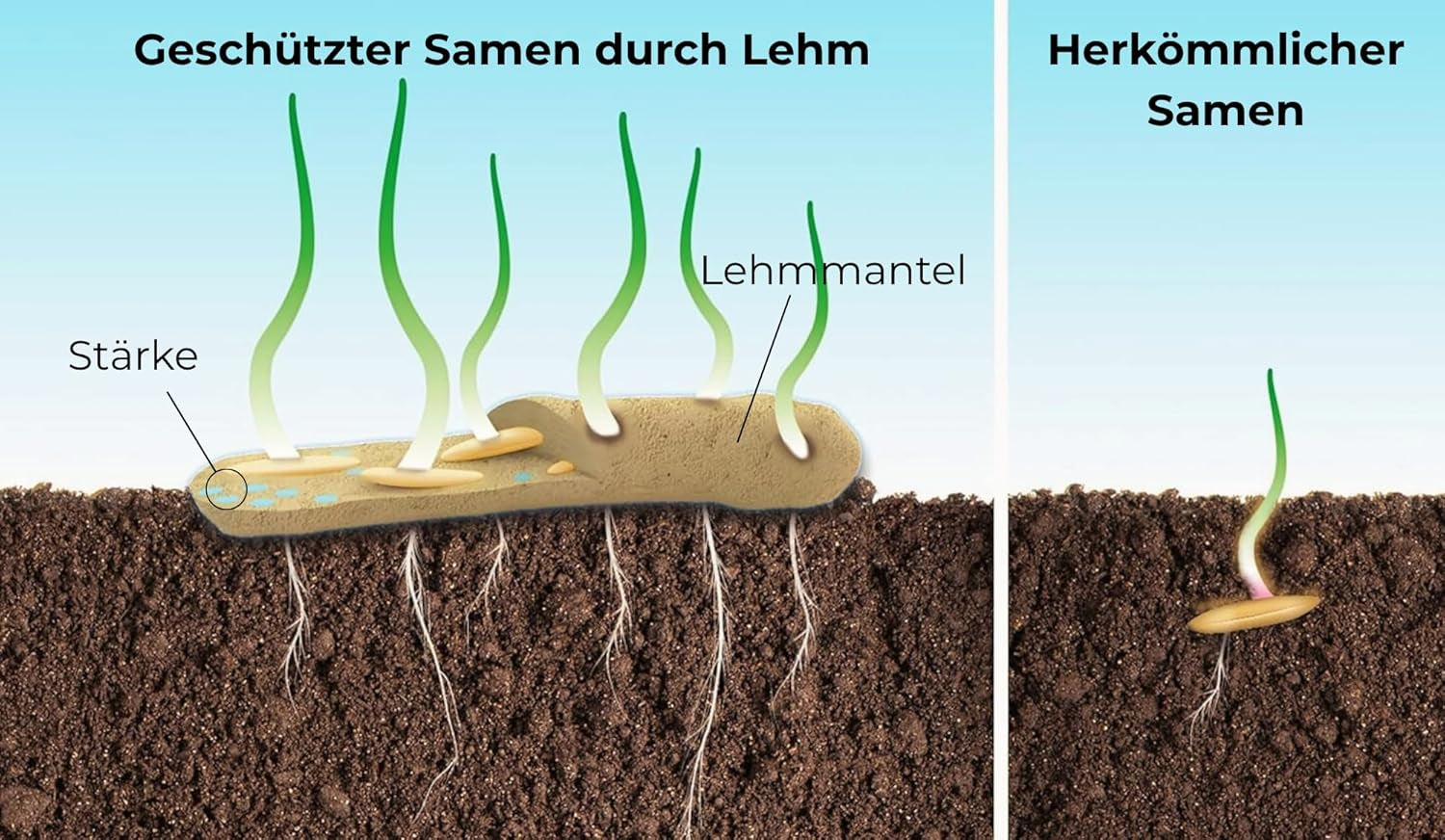 Flower seeds in a protective clay coating for bees and butterflies, 400g. Mixture of perennial and winter-hardy wild flowers for 20 m². Beautiful wildflower seeds for a colorful bee pasture. Gift for children.