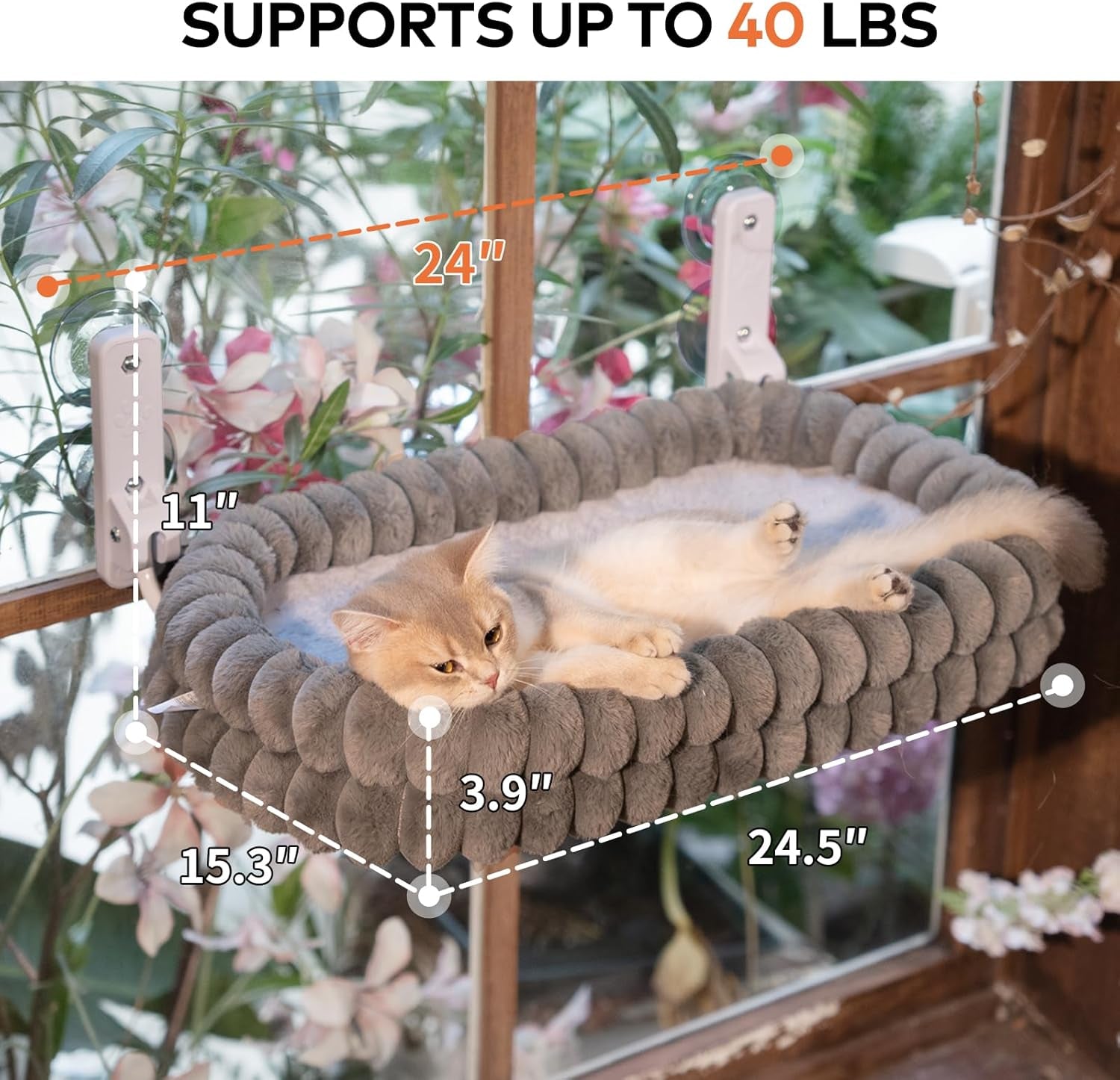 Paturi, cuverturi & mobilier, animale de companie, pisici, paturi pisici, Pisici - culcusuri, saltele