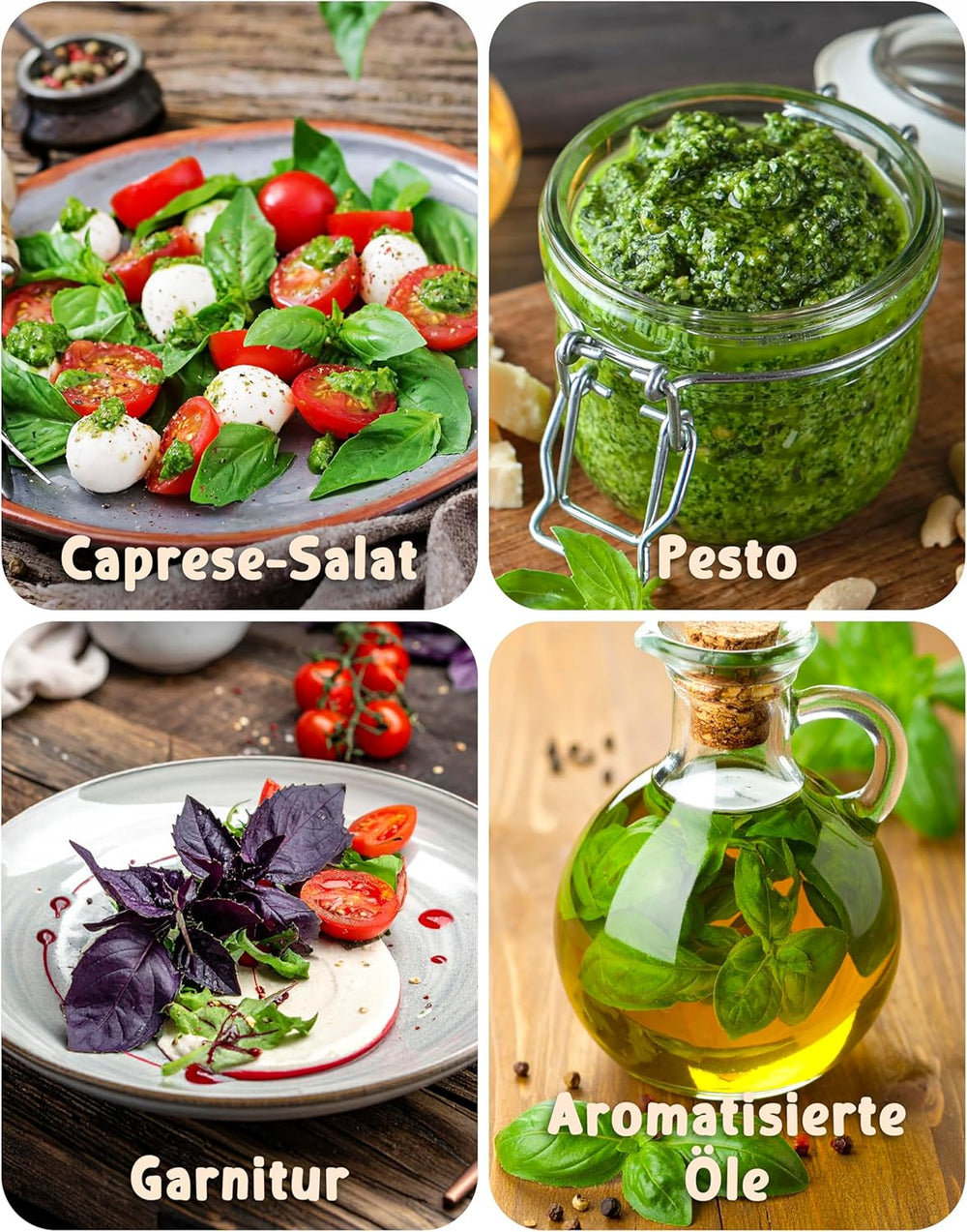 Organic Basil Seeds in a Set of 6 - 6 Basil Seeds for Easy Growing in the Garden, Balcony or Raised Bed - Plant Seeds - Seedlings