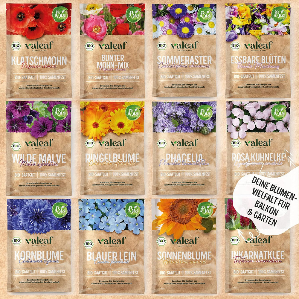 Set de semințe de flori organice | 12 varietăți de semințe de flori | Semințe de flori premium | Set de semințe de plante cu semințe de flori sălbatice | Semințe de flori | Semințe de flori pentru balcon | Cadou ideal cu semințe de flori