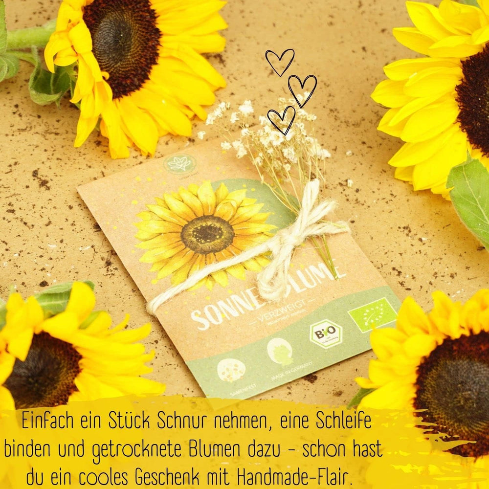 Organic sunflower seeds, branched, 20 sunflower seeds with a high germination rate, sunflower seeds for the garden, balcony, flowerbed or guest gift. Free pollinated flower seeds.