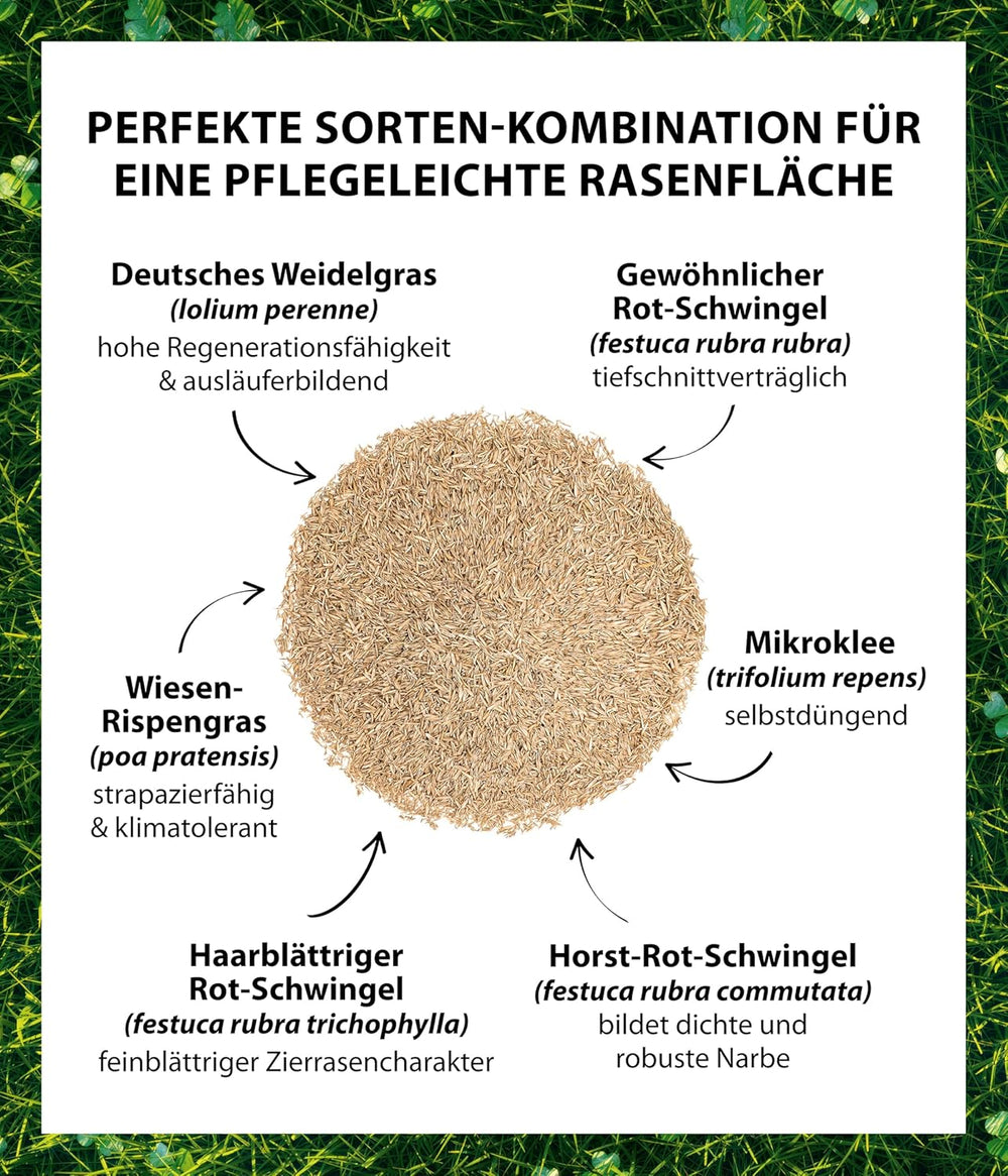 Dehner Saatgut Rasensamen, Mikroklee-Rasen, Hochwertige Saatgutmischung, Selbstdüngend/Selbstkeimend, 625 G, Für Ca. 25 M², Natur