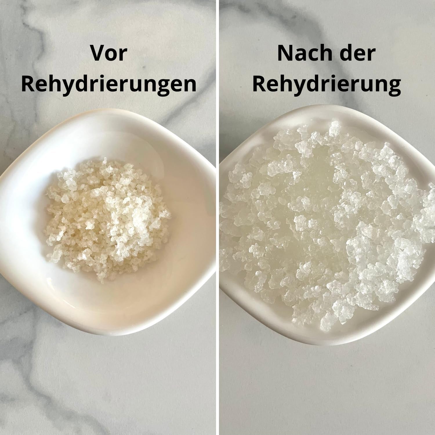 Natural Probio® Wasserkefir, Kefirpilz, Japankristalle, Kefirknollen, Starter Set + Anleitung, Rezept, Tipps, E-Book & Rezeptbibliothek + Kundenservice auf Lebenszeit (10g dehydrated/60g rehydrated)