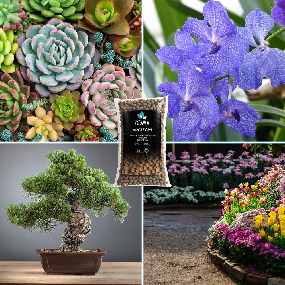 Expanded clay for potted plants, small clay balls for drainage and aeration, expanded clay for hydroponics and aesthetic decorations without chemical dyes - 650 g