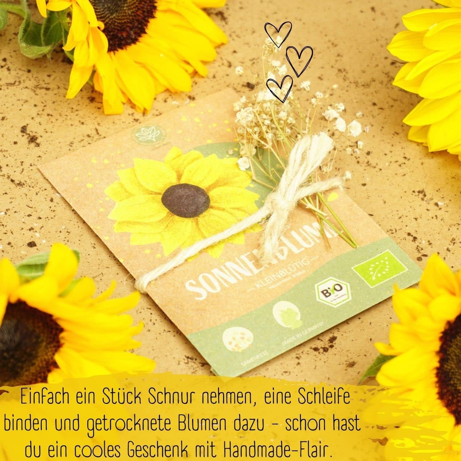 Bio Kleine Sonnenblumen Samen, 20 Blumensamen Mit Hoher Keimquote, Sonnenblumensamen Für Deinen Garten, Balkon, Beet Oder Als Gastgeschenk. Samenfestes Blumen Saatgut.