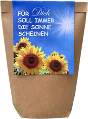 Gift for Women - May the Sun Always Shine for You - Sunflower Growing Kit, Gift Idea Surprise Bag, Planting Kit
