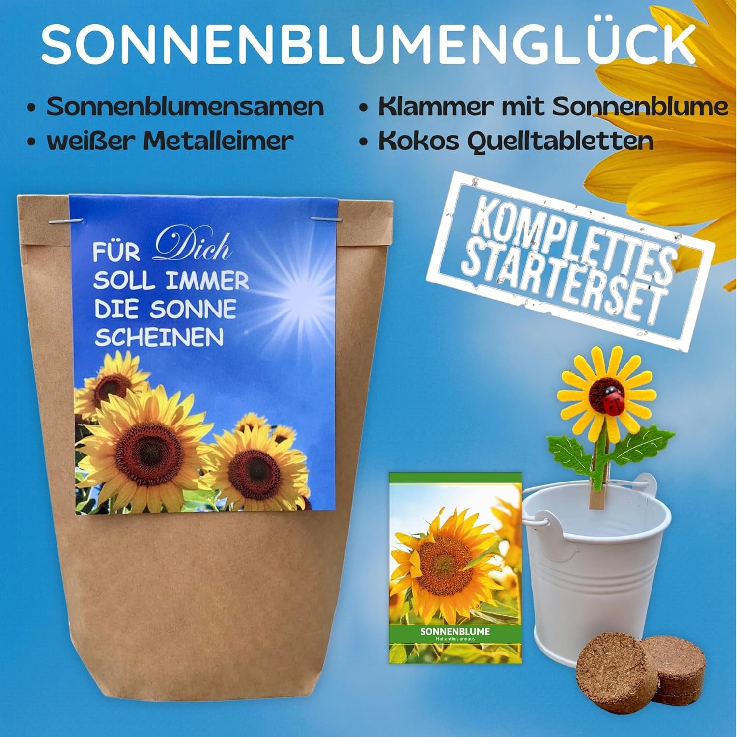 Gift for Women - May the Sun Always Shine for You - Sunflower Growing Kit, Gift Idea Surprise Bag, Planting Kit