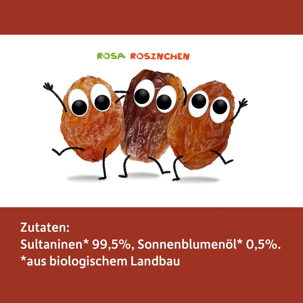 FRECHE FREUNDE Organic Raisins, Trockenfrüchte ohne Zucker, ohne Zusatzstoffe, ungeschwefelt, in kleinen Snackboxen, Sultaninen für Kinder, 20er Pack, 20 x (3x14g)
