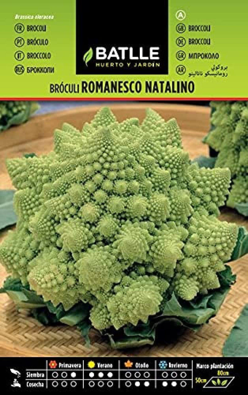 Batlle Gemüsesamen - Brokkoli Romanesco Natalino (Samen)