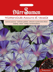 Dürr 1148 Morning Glory Azzurro di Venezia Seeds (Morning Glory Seeds)
