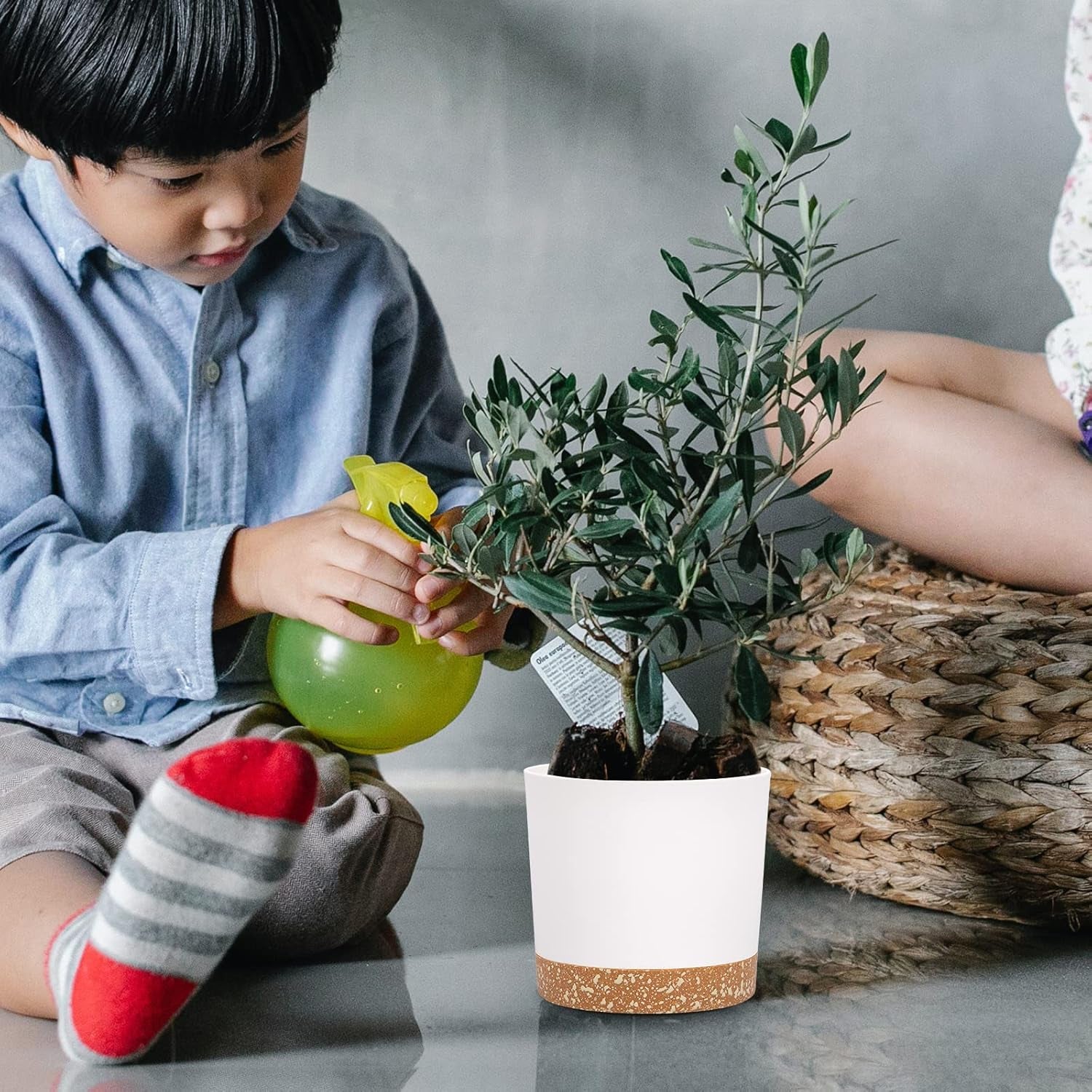 12.7cm Set of 2 Flower Pots, Indoor Plant Pots with Drainage Holes and Removable Base, Modern Decorative Saucers for Outdoor Garden Planters (White 12.7cm)