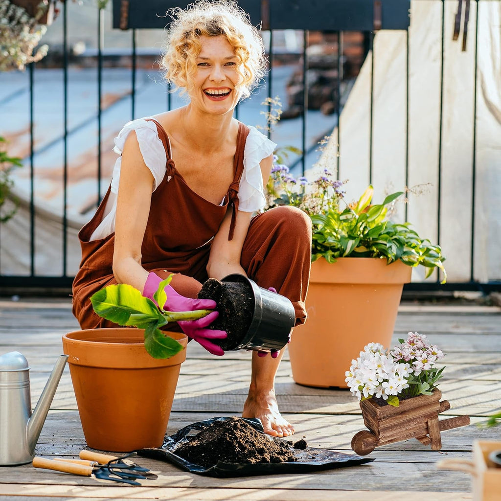 Roabă de plantat Relaxdays, Set de 2, Decorațiune de grădină, Î x l x A: 12,5 x 26 x 12 cm, Cărucior cu flori pentru plantare, Lemn, Natural