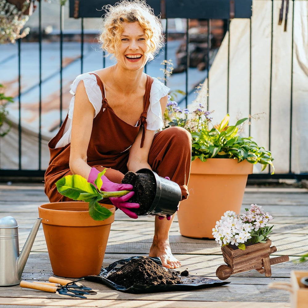 Roabă de plantat Relaxdays, Set de 2, Decorațiune de grădină, Î x l x A: 12,5 x 26 x 12 cm, Cărucior cu flori pentru plantare, Lemn, Natural