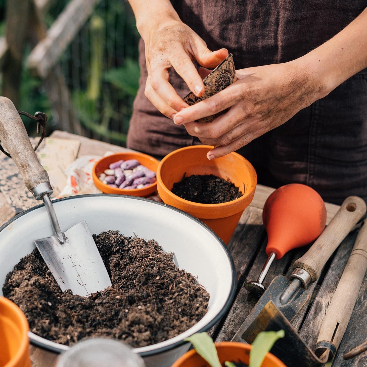 Magic Garden Seeds - Samen-Geschenkset Blütenwunder mit 6 prächtigen alten Blumensorten für den Bauerngarten - Blumensamen alte Sorten - Blumen Samen - Garten Geschenk