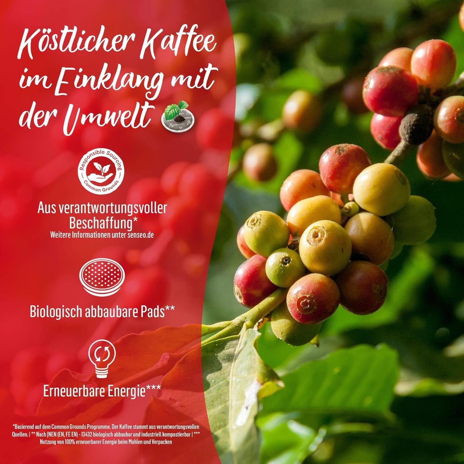 Senseo Pads Cappuccino, 10 x 8 Getränke, 80 Kaffeepads