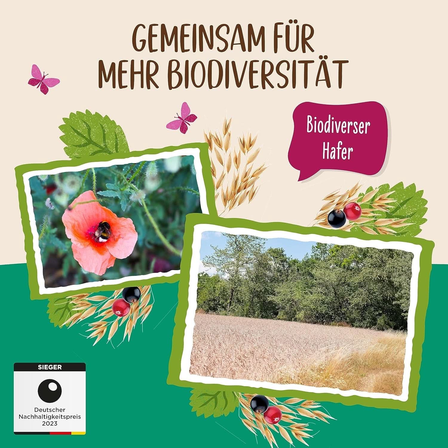 Allos, muesli de fructe de pădure neîndulcit, pachet 5 x 500 grame Cereale Naty Shop