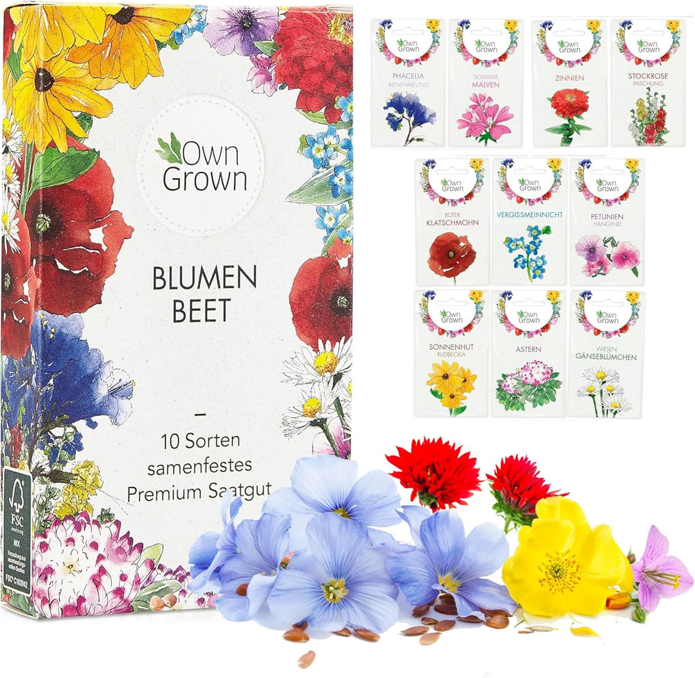 Semințe de flori pentru grădină și balcon: 10 varietăți de semințe de flori premium ca set de semințe de plante – semințe de flori de balcon – semințe de flori sălbatice pentru balcon și grădină de la OwnGrown