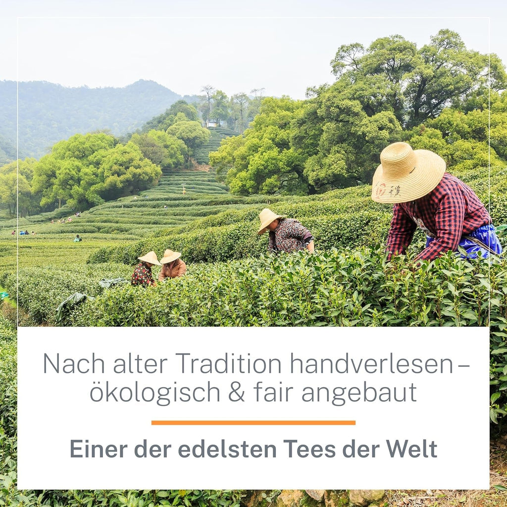 Ceai Oolong Ti Guan Yin Bio 100 g - Ceai Oolong de înaltă calitate, din China, de calitate bio - Wu Long (grad ceremonial) - Pentru iubitorii și cunoscătorii de ceai - Mycupoftea