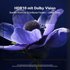 Google TV 4K UHD 139,7 cm (55 inch) cu Google Play și Google Cast integrate, HDR 10, Dolby Vision, Dolby Atmos, Memc, control vocal, negru, 4K, 139,7 cm (55 inch)