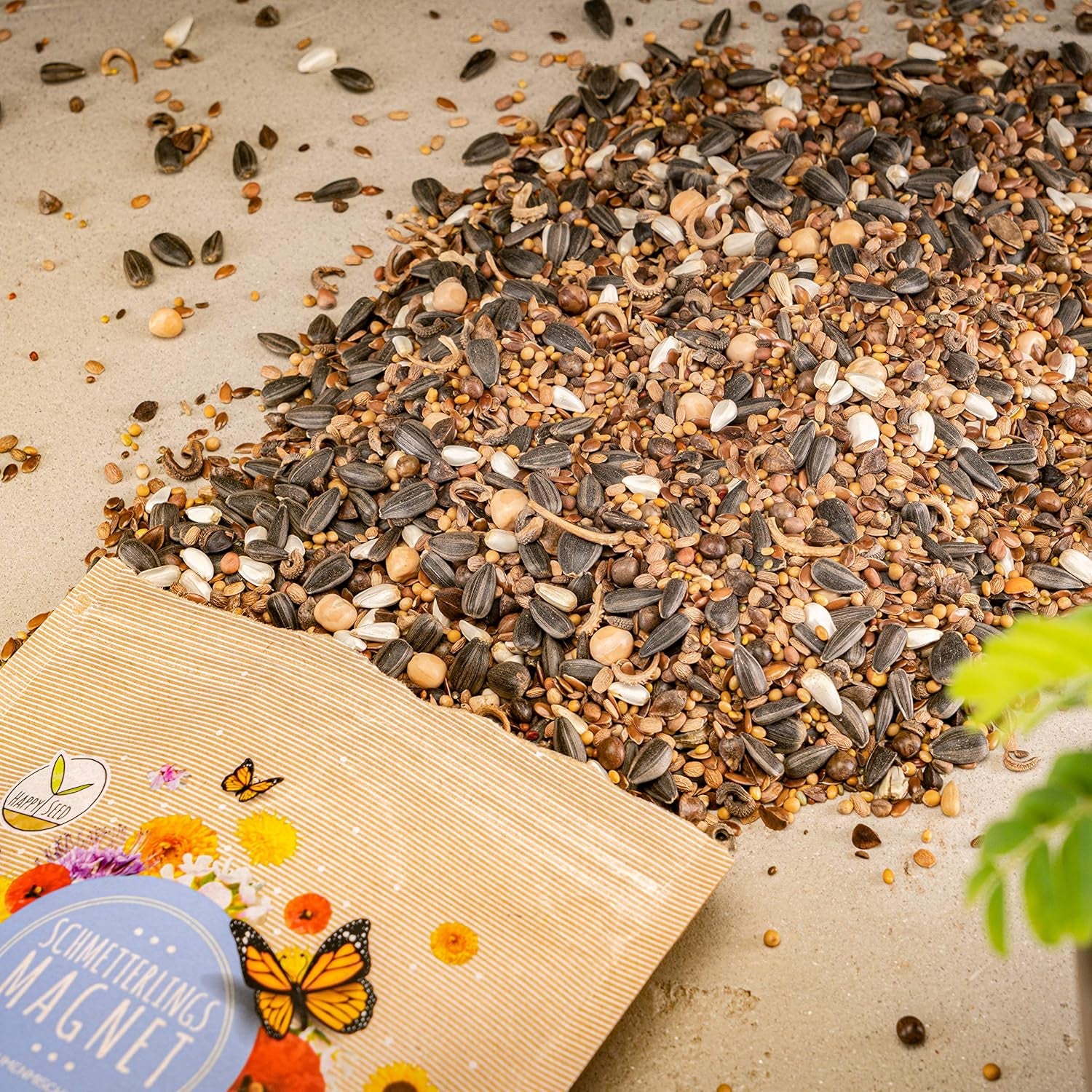 100g Semințe de fluturi pentru o pajiște cu flori colorate - Amestec de semințe de flori sălbatice colorate și bogate în nectar pentru fluturi