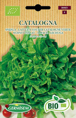 Schnittsalat BABY LEAF ASIAN MIX, ECBIO6022