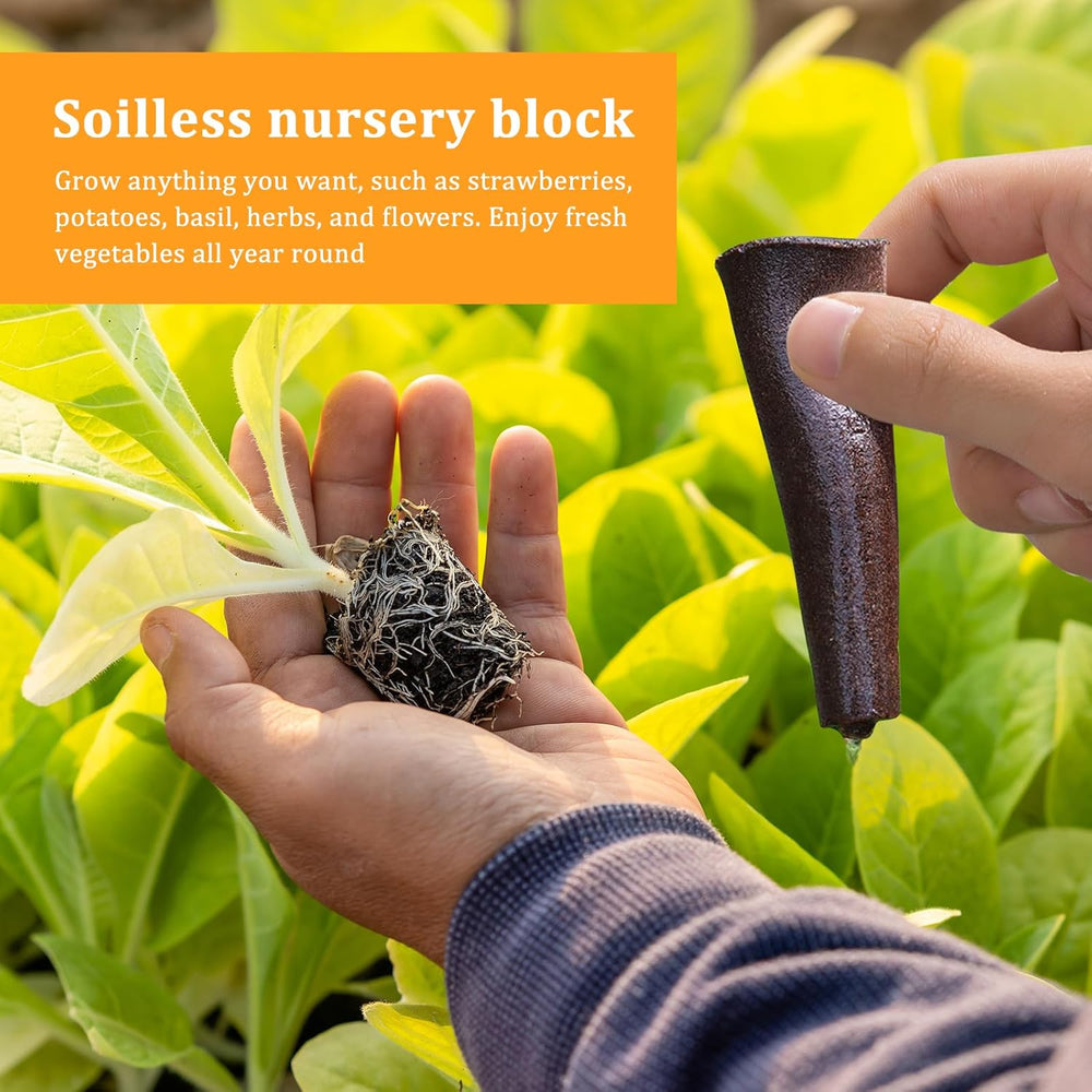 50 Hydroponic Grow Sponges, Hydroponic Seedling Sponges, Root Growing Sponge Plugs, Suitable for Various Kinds of Buds, Such as Tomato, Strawberry, Mint