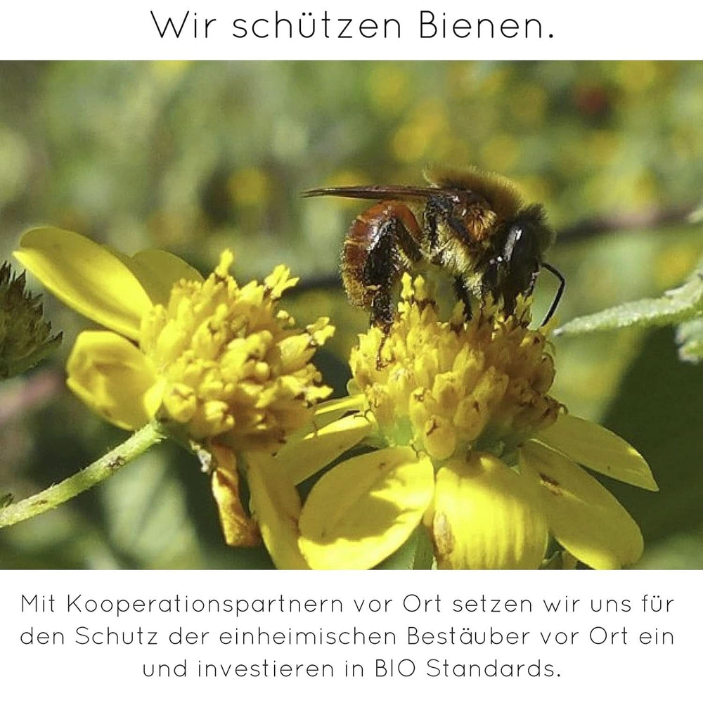 Premium Vanilla Powder from Real Vanilla Beans, Natural, Sugar Free, No Additives, Fairtrade, Vegan (40G Unboxed) From Vanilla Campaign® Flavors Naty Shop