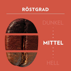 Lavazza, Tales of Roma, coffee beans, ideal for Espresso coffee machines, with aroma notes of hazelnut and dark chocolate, Arabica and Robusta, 250 grams Coffee Naty Shop