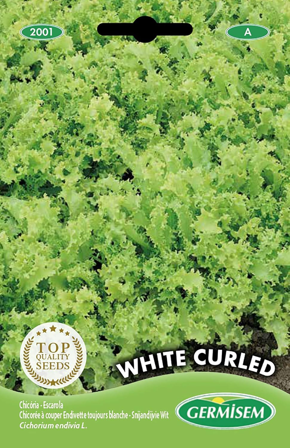 Endivie WHITE CURLED