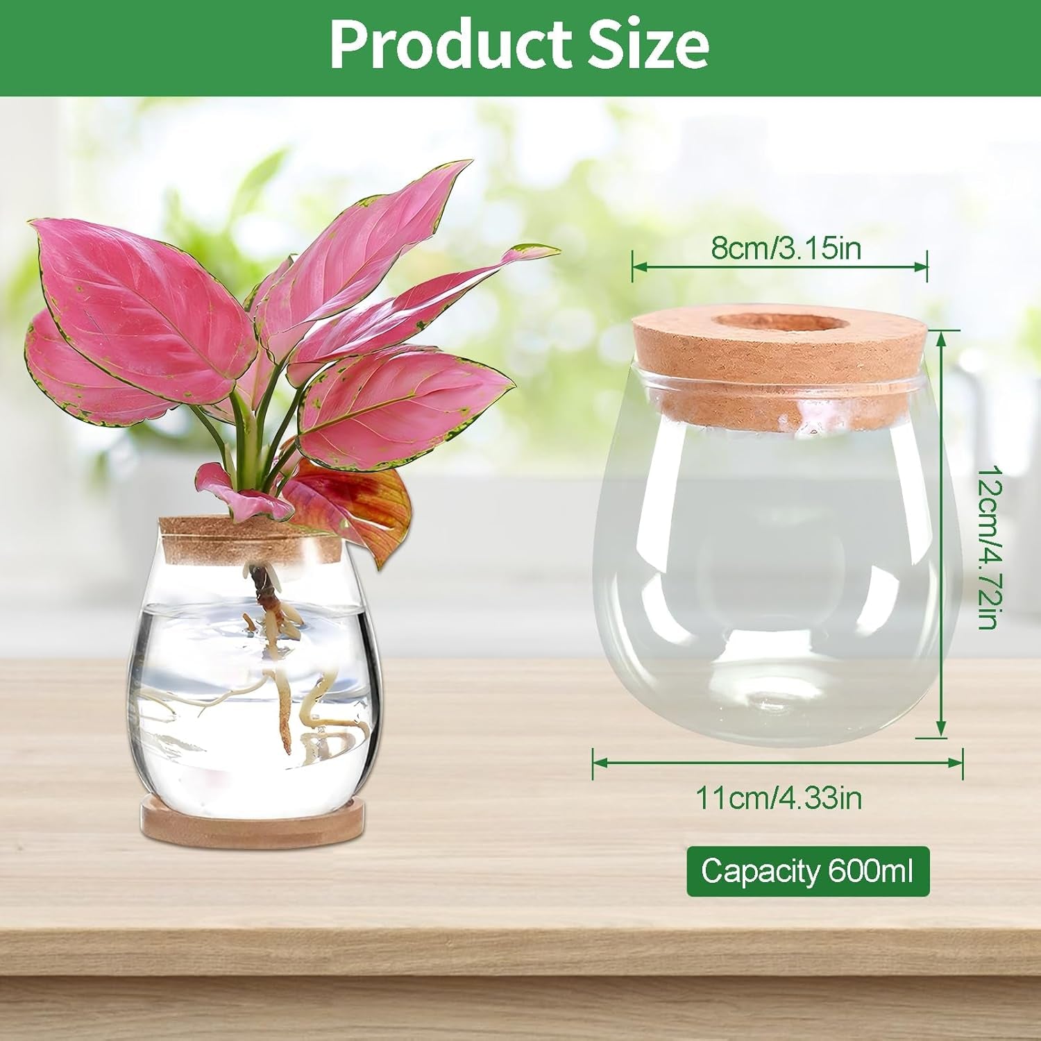 Hydroponic Plant Grow Station 12x11cm Avocado Seed Vase Glass Planter Hydroponic Glass Vase for Aquatic Plants or Flowers Desk Table Decor 2pcs