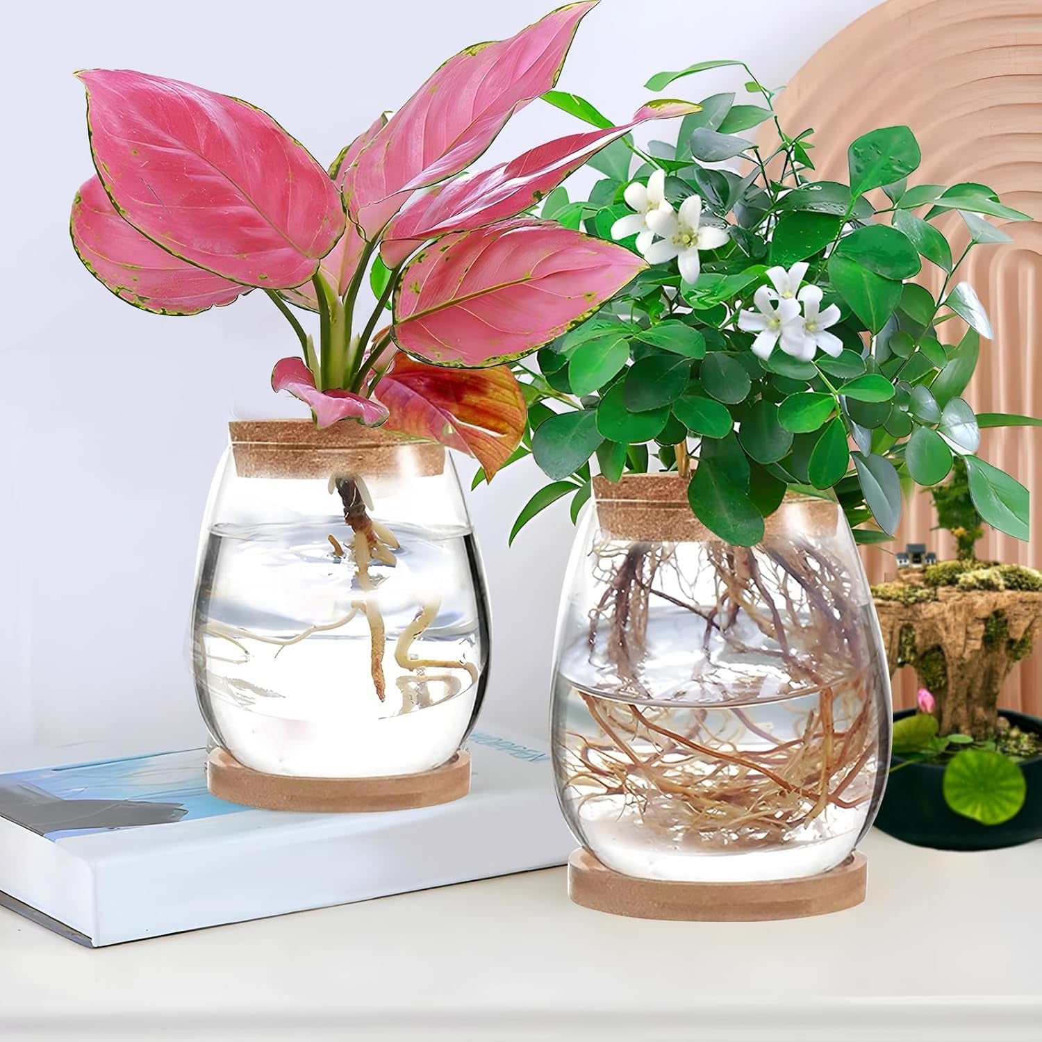 Hydroponic Plant Grow Station 12x11cm Avocado Seed Vase Glass Planter Hydroponic Glass Vase for Aquatic Plants or Flowers Desk Table Decor 2pcs