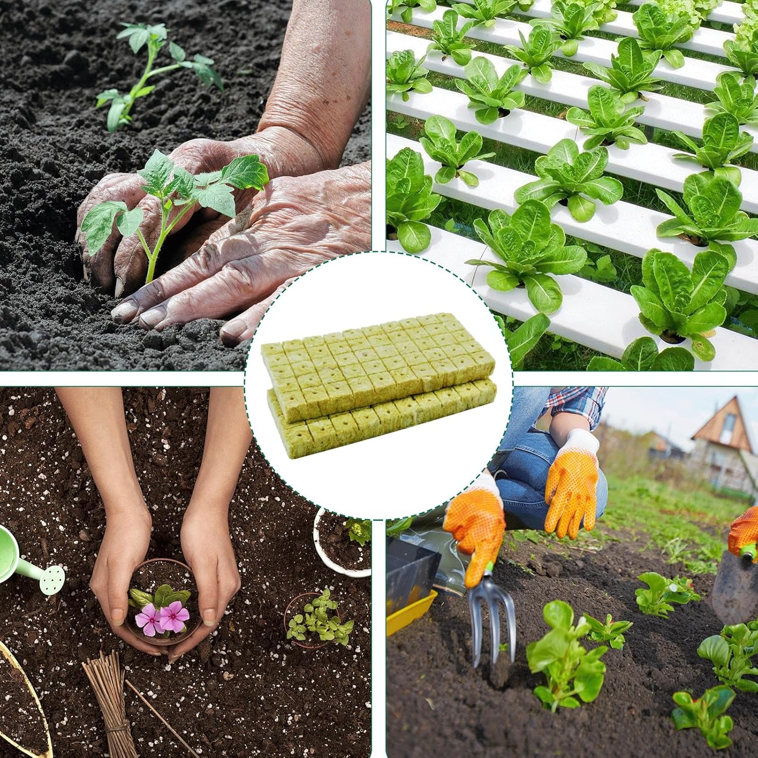 100 Stück Steinwolle Anzucht Würfel 2.5x2.5x2.5CM Rockwool Cube Anzuchtmatte Steinwolle Anbau Hydrokultur Umpflanzen für Bodenlose Anzucht Setzlinge Stecklinge Klonpflanzen