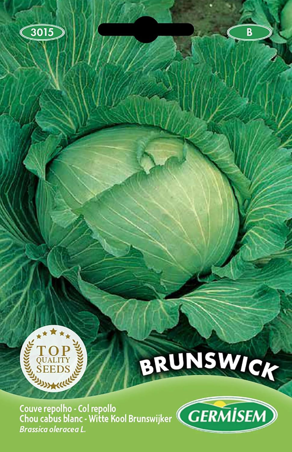 Weißkohl BRUSWIJKER, Mehrfarbig, EC3015
