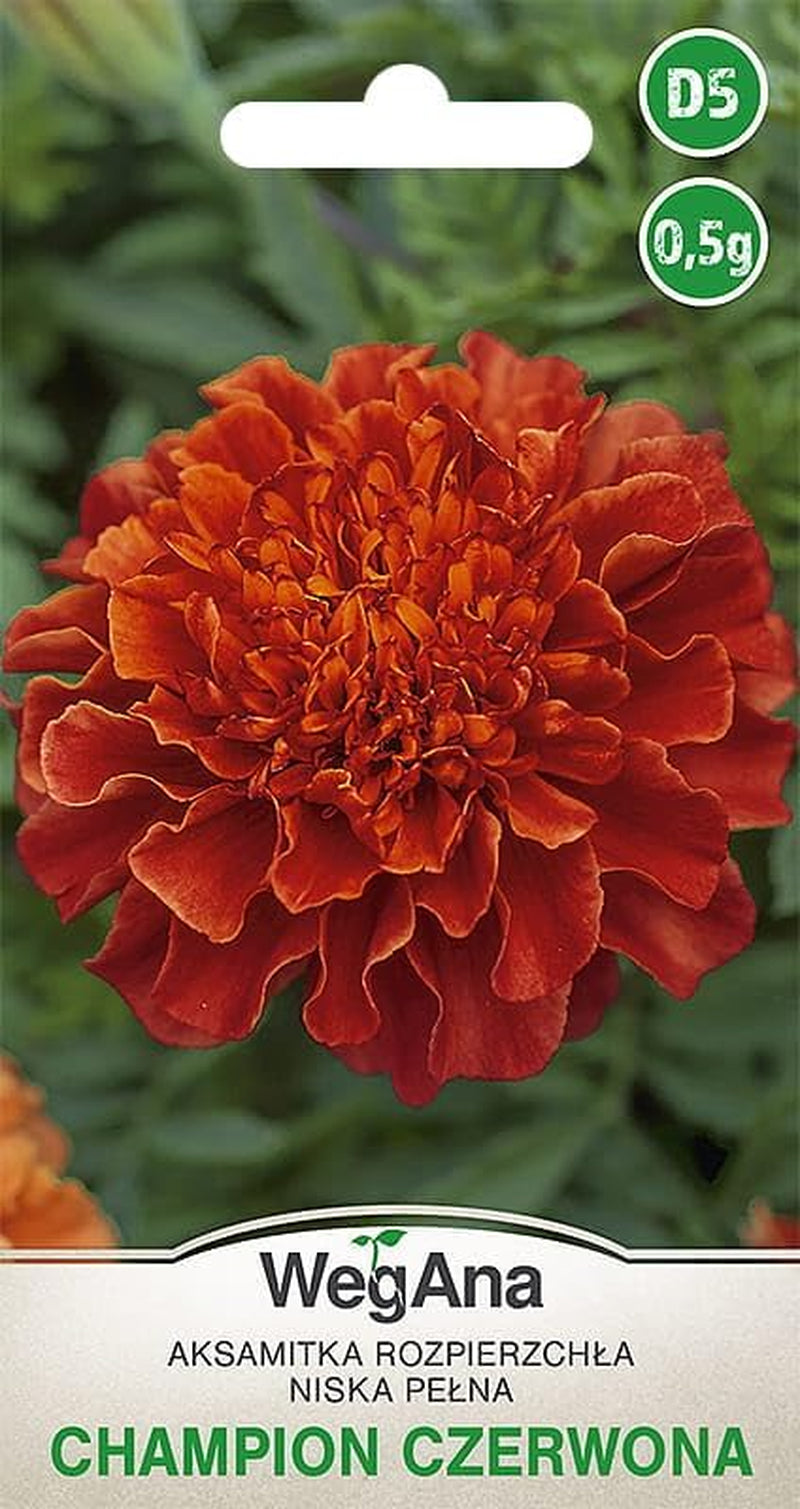 Cosmos Sensation Mix 1g seeds, Cosmos Mix Summer flowers, Garden plants Balcony plants, Flower seeds