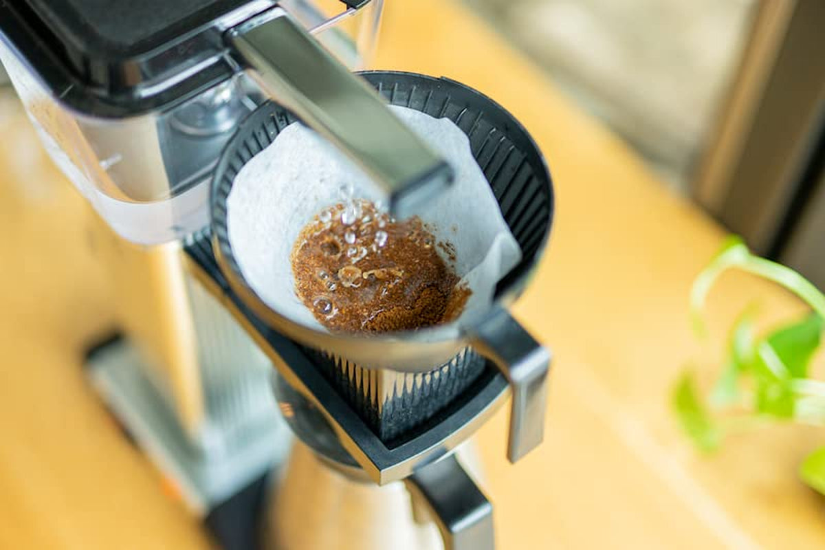 Entkoffeinierter Espresso Kolumbien | 250g ganze Bohne | fair & nachhaltig | frisch geröstet | 100% Arabica Kaffeebohnen | specialty coffee | Kaffee ohne Koffein | 19grams Kaffeerösterei