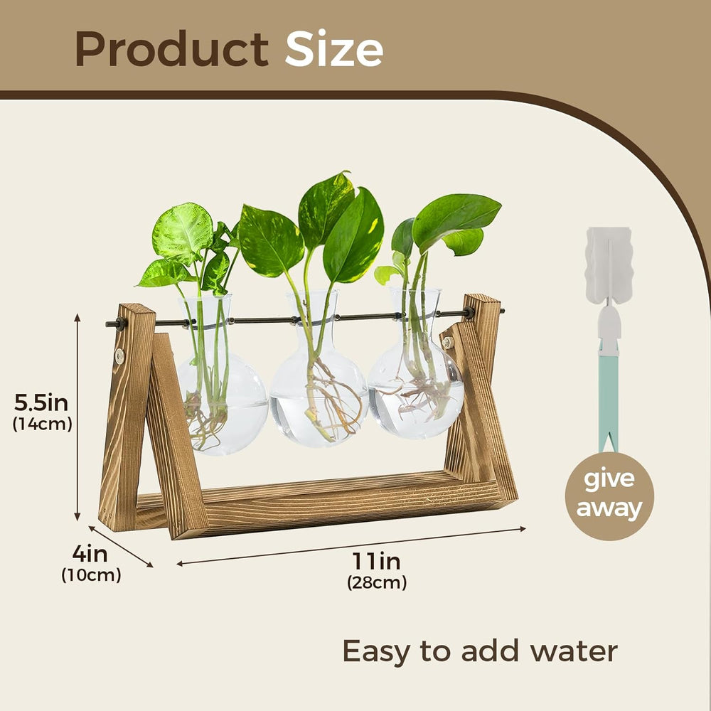Bamworld Hydroponic Propagation Station with Wooden Stand - 3 Glass Vases for Aquatic Plant Growing and Home Decoration