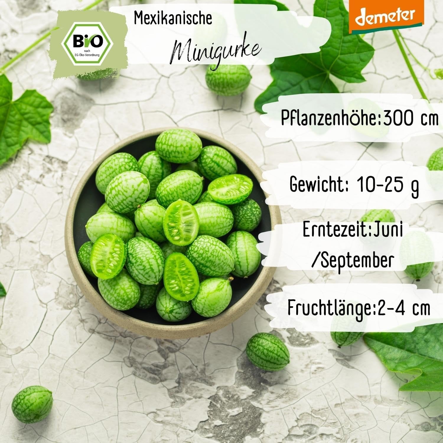 Organic Mini Mexican Cucumber Seeds, 10 Snack Cucumber Seeds, High Germination Rate, Demeter Certified & Open Pollinated | LOVEPLANTS Balcony Garden Raised Bed Vegetable Seeds - Heirloom Vegetable Varieties