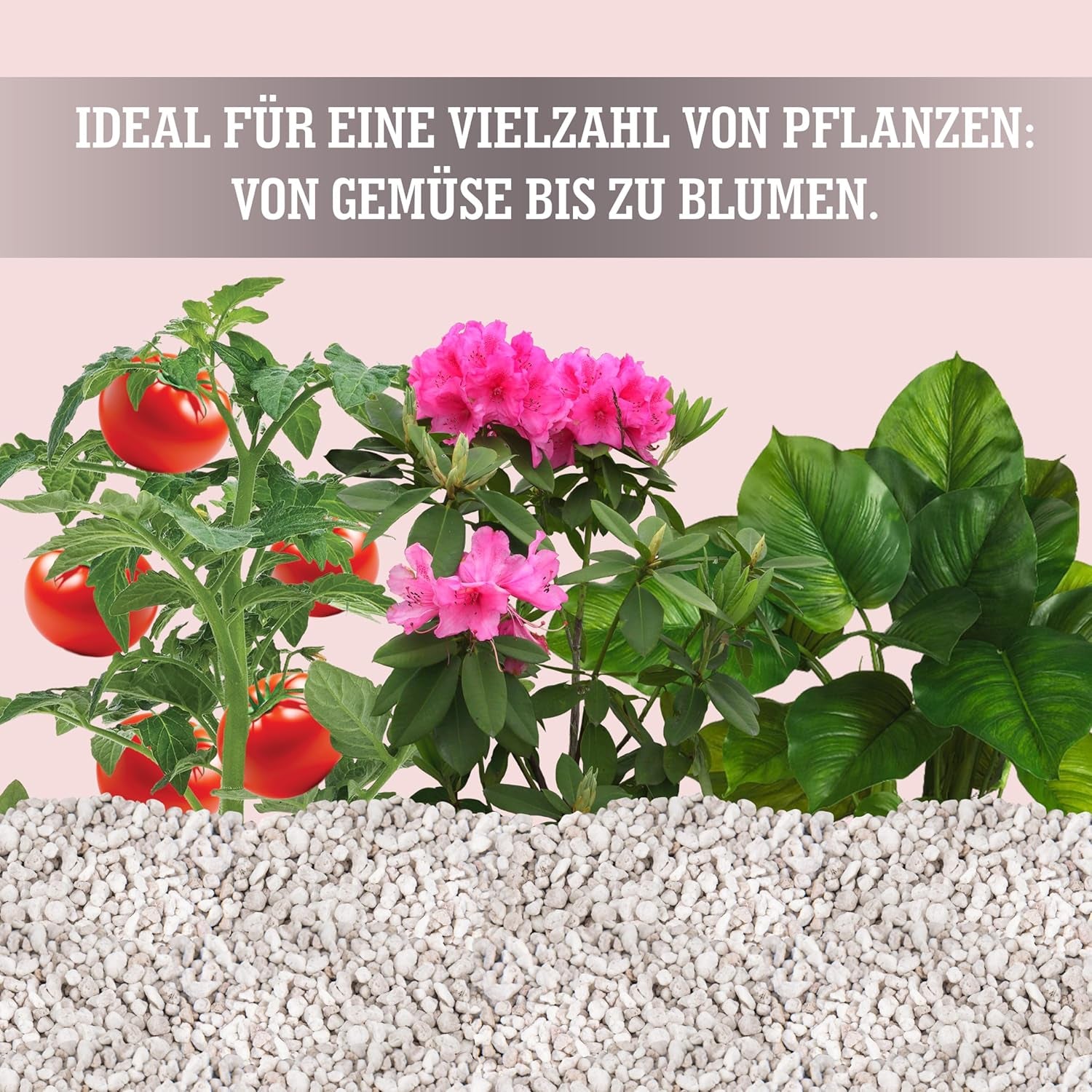 LERAVA® Perlite for Plants (5L) – Coarse-grained perlite for soil improvement – ​​Ensures optimal drainage and aeration – Natural soil and hydroponics additive – Granules for plants