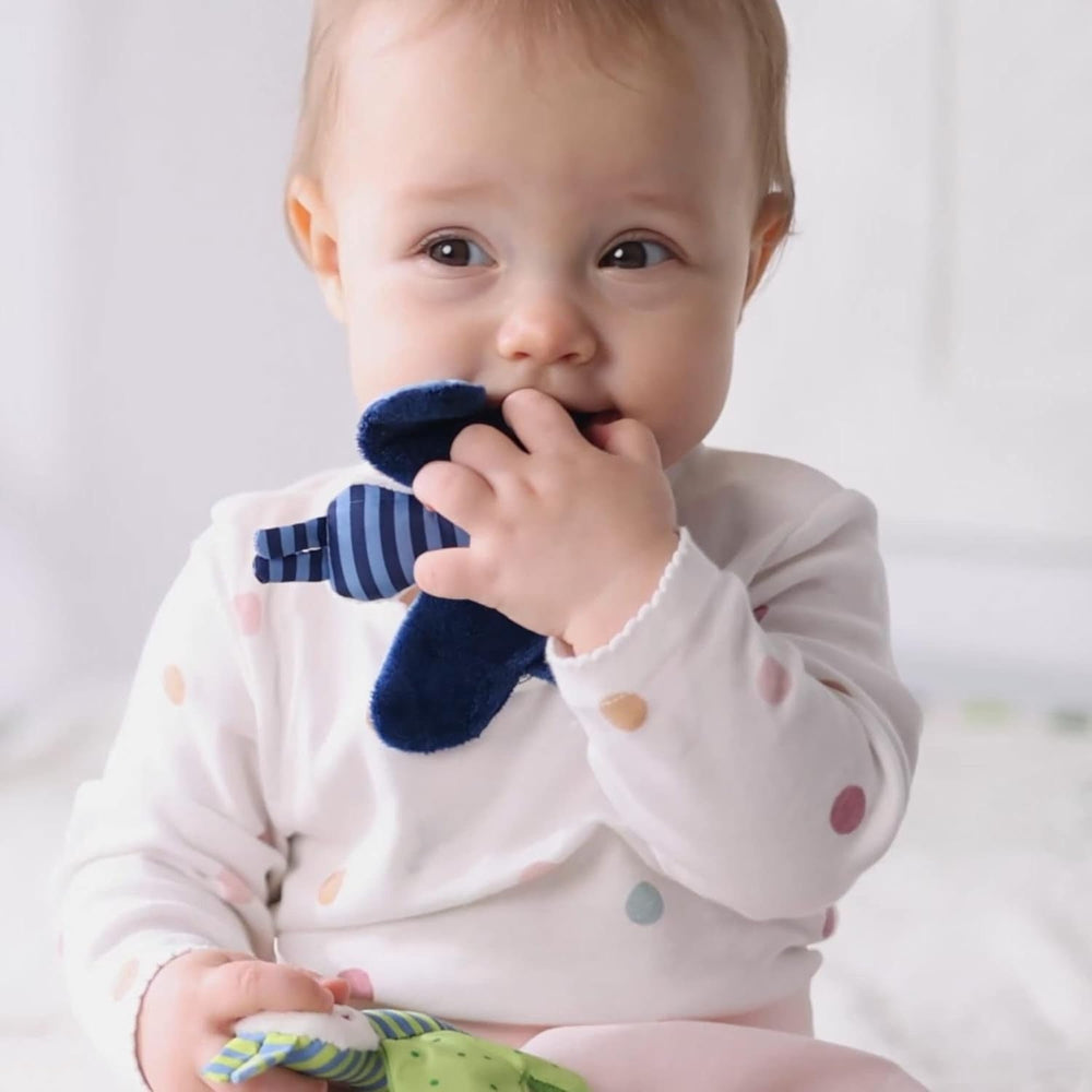 Fehn crackling stea de mare - jucărie pentru bebeluși pentru apucat și jucat & jucărie crackling pentru bebeluși și copii mici de la 0+ luni & SIGIKID 41179 jucărie de apucat fluture roșu stele verzi Jucarii Bebe Naty Shop