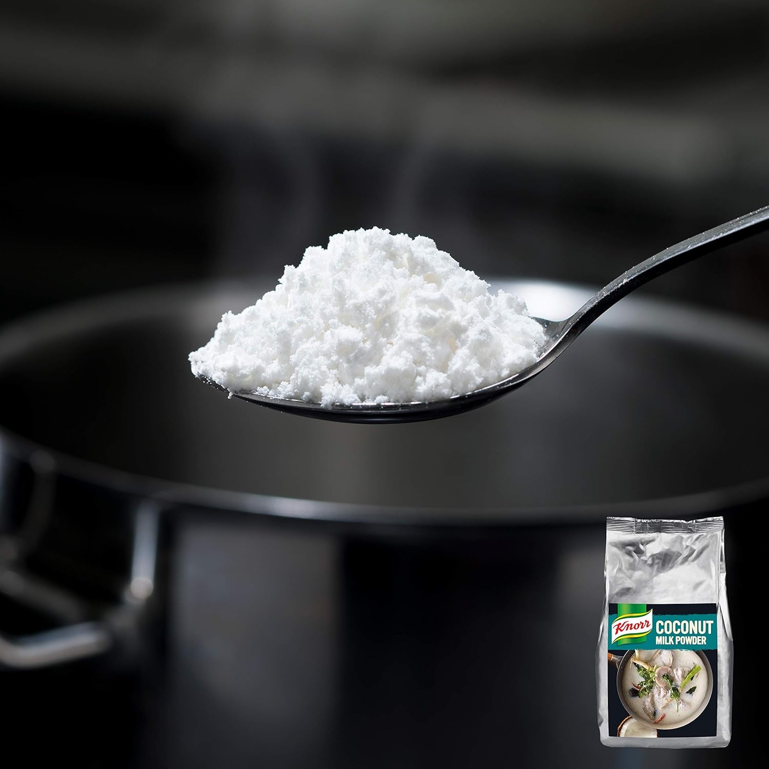 Knorr Kokosmilch Pulver (Milk Powder aus 20 frischen Kokosnüssen, ergibt 6.6 Liter Kokosmilch) 1er Pack (1 x 1 kg)