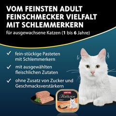 animonda Vom Feinsten Adult Gourmet Variety (32 x 100 g), hrană umedă pentru pisici adulte, fără cereale și fără zahăr, cu un miez gourmet irezistibil.