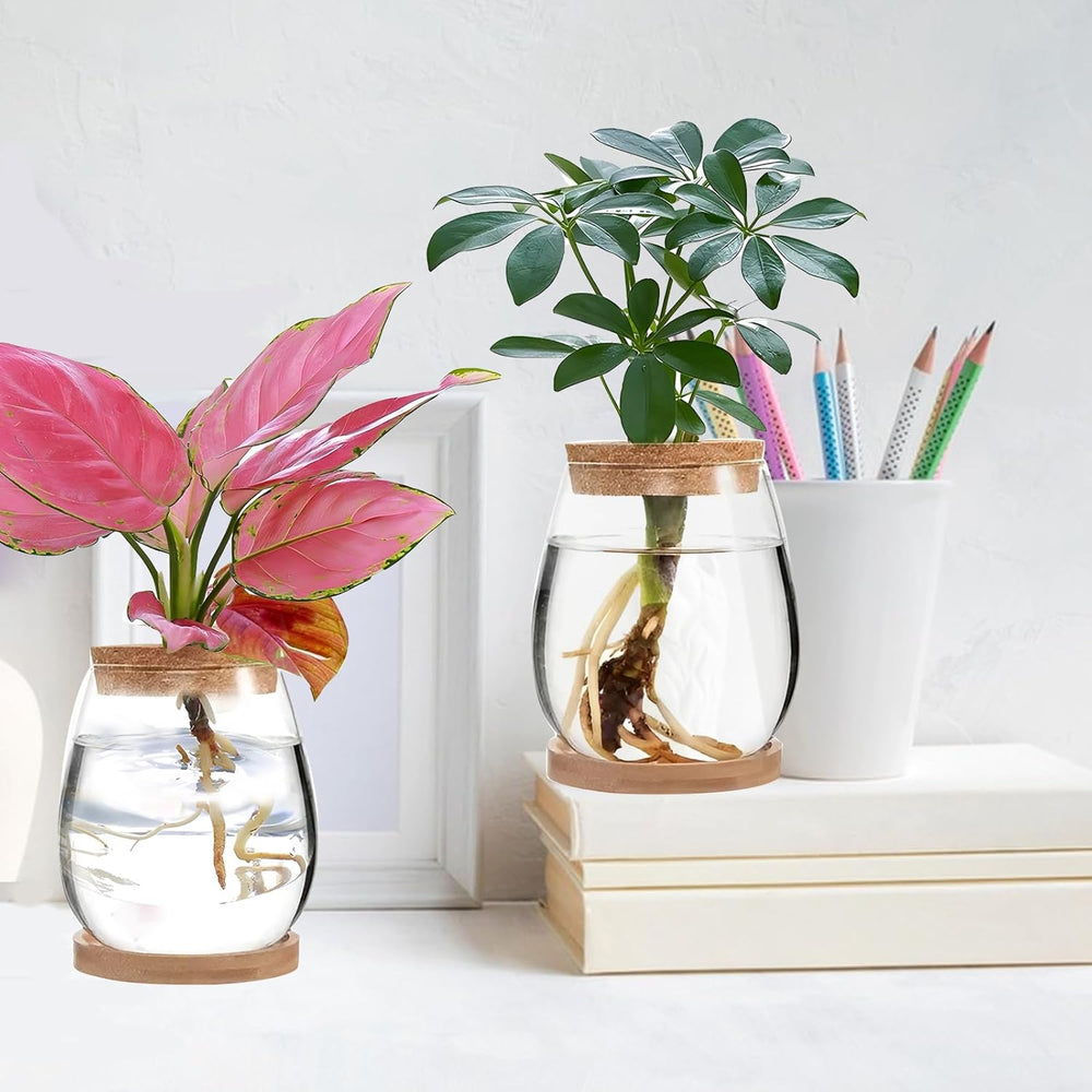 Hydroponic Plant Grow Station 12x11cm Avocado Seed Vase Glass Planter Hydroponic Glass Vase for Aquatic Plants or Flowers Desk Table Decor 2pcs