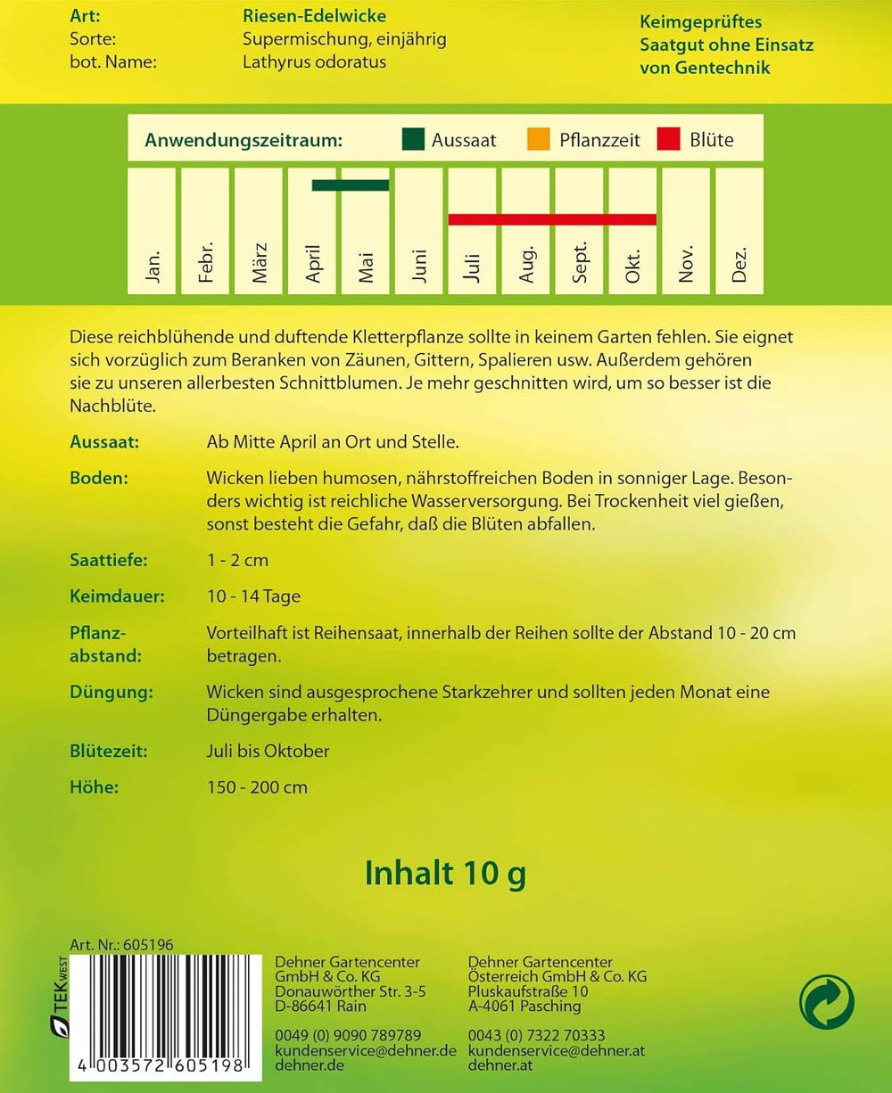 Dehner Blumen-Saatgut, Riesen-Edelwicke "Supermischung", 5Er Pack (5 X 10 G)