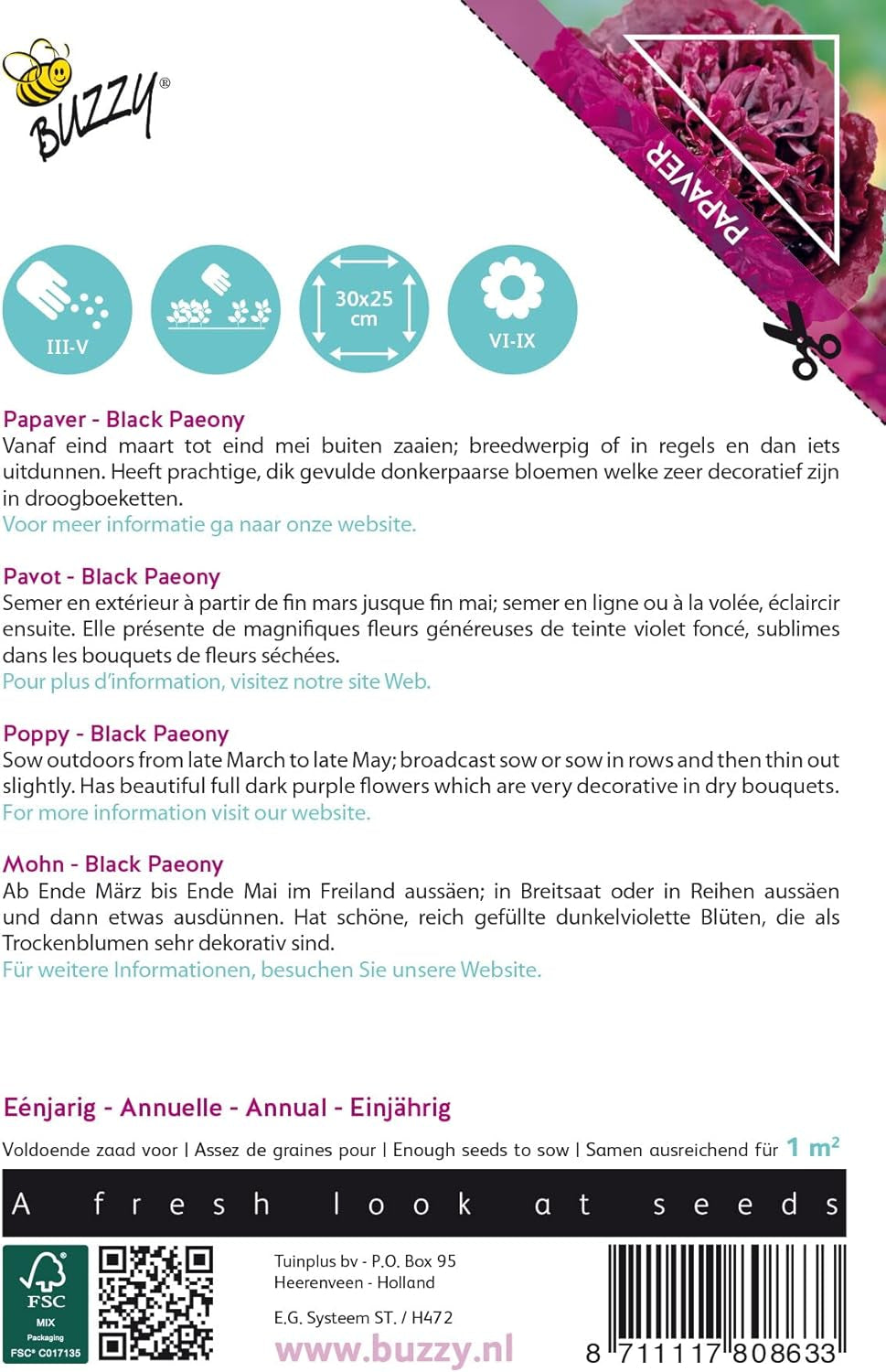 Flowers of Buzzy Poppy, Black Poppy Paeony