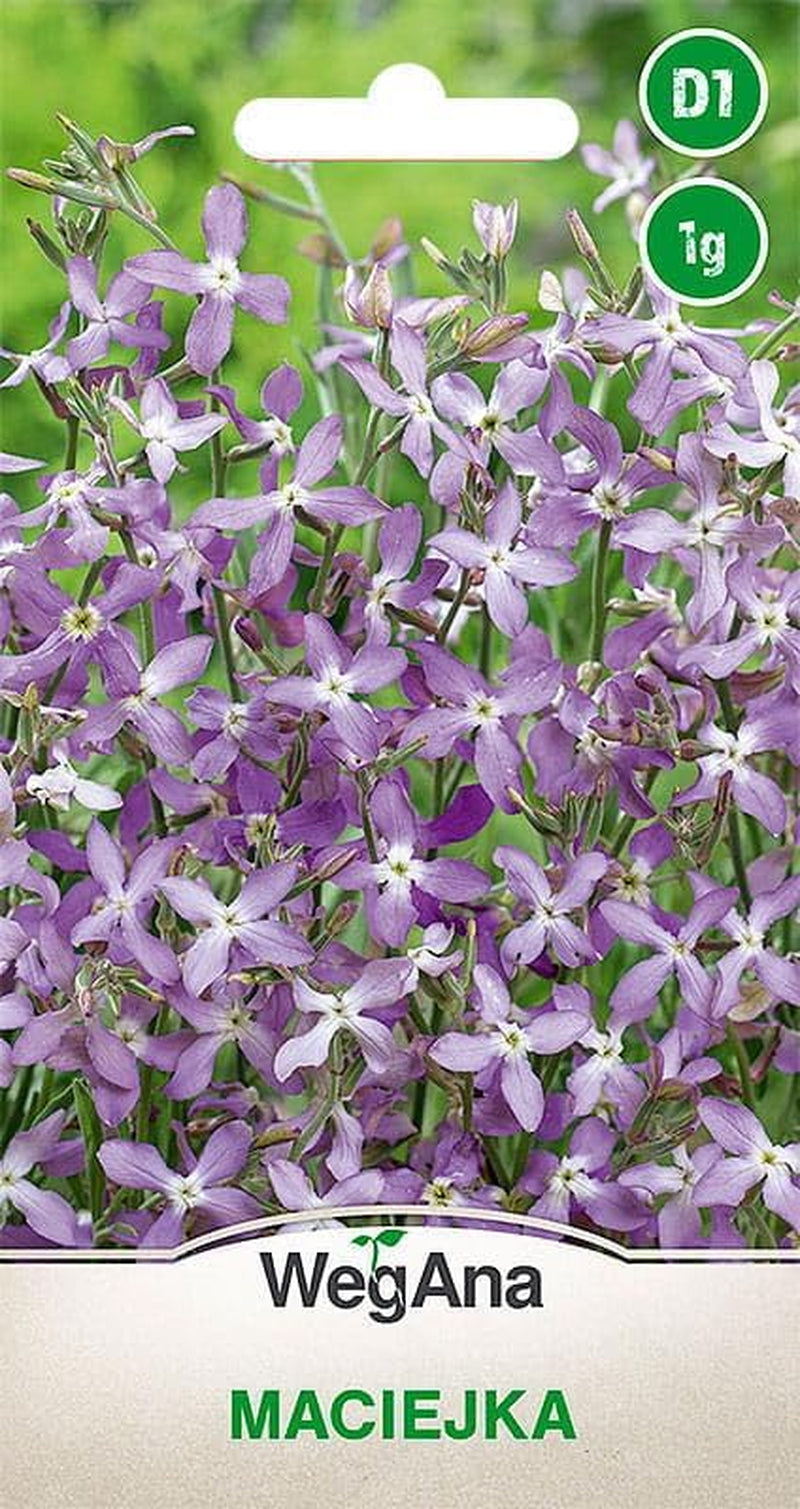 Cosmos Sensation Mix 1g seeds, Cosmos Mix Summer flowers, Garden plants Balcony plants, Flower seeds