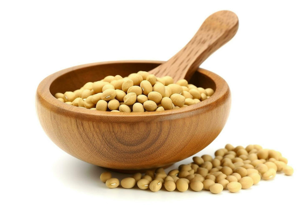 Special yellow soybean for tofu 5 kg organic